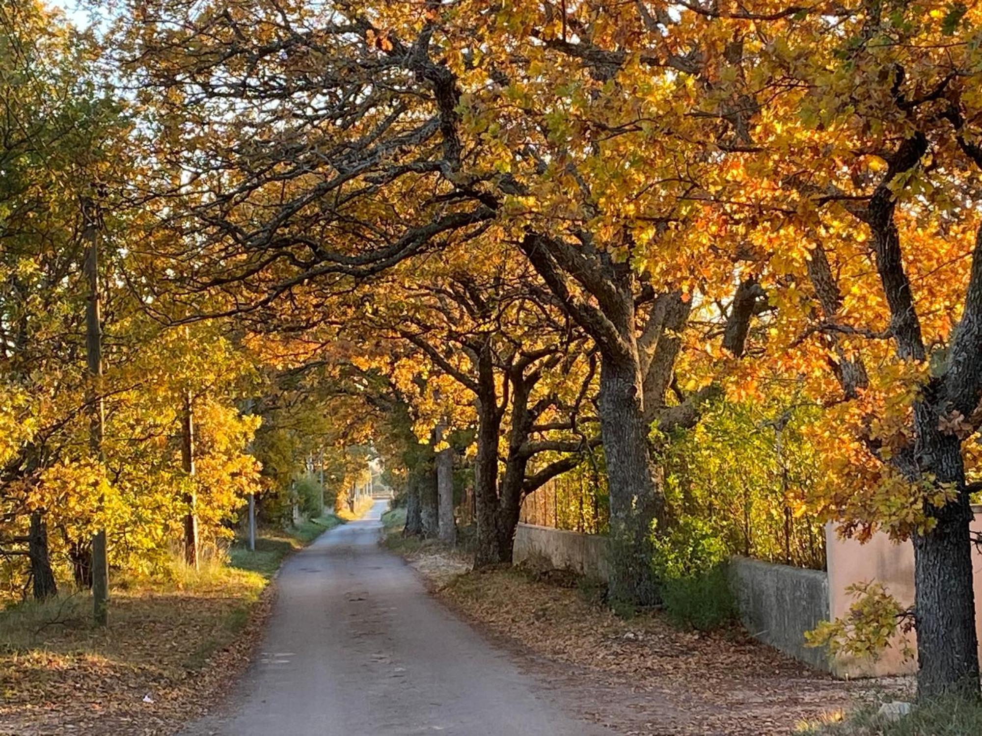 Le Domaine De Gaia Leilighet Aix-en-Provence Eksteriør bilde